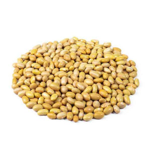 POROTO CANARIO (01 Kg.)